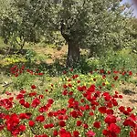 Tatil Evi In Ermioni Mit Gemeinschaftlichem Pool- Grill Und Terrasse By Interhome *