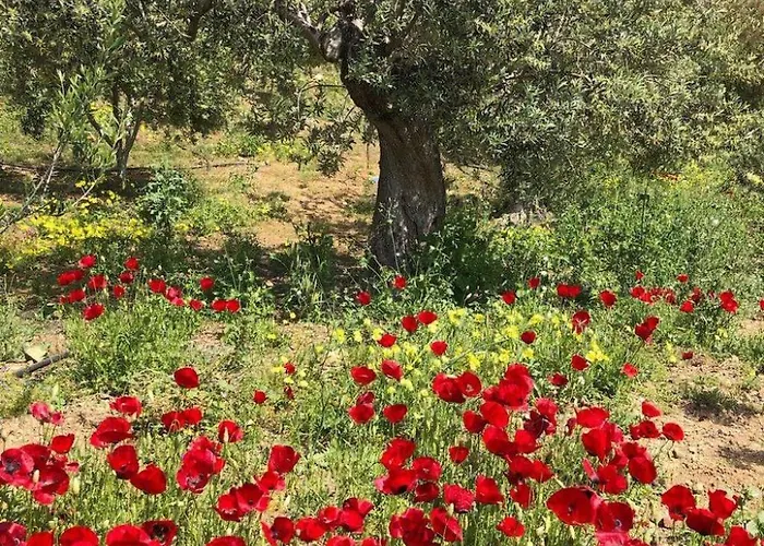 別荘 In Ermioni Mit Gemeinschaftlichem Pool- Grill Und Terrasse By Interhome *